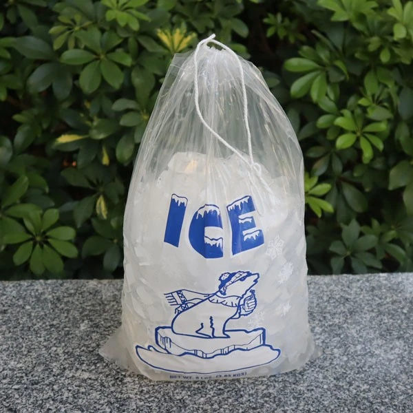 product-600-600 Transparent ice pack